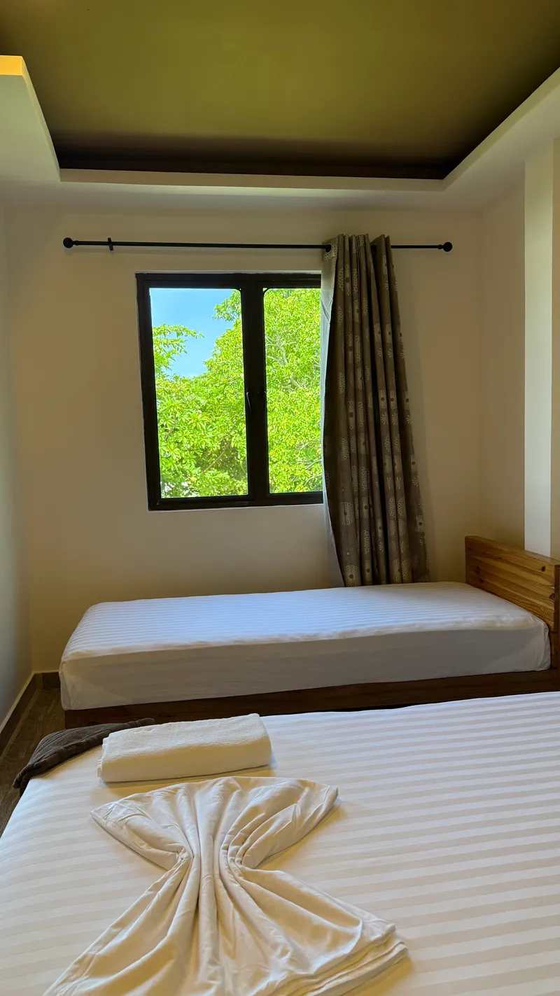 Room 209 — family room beds